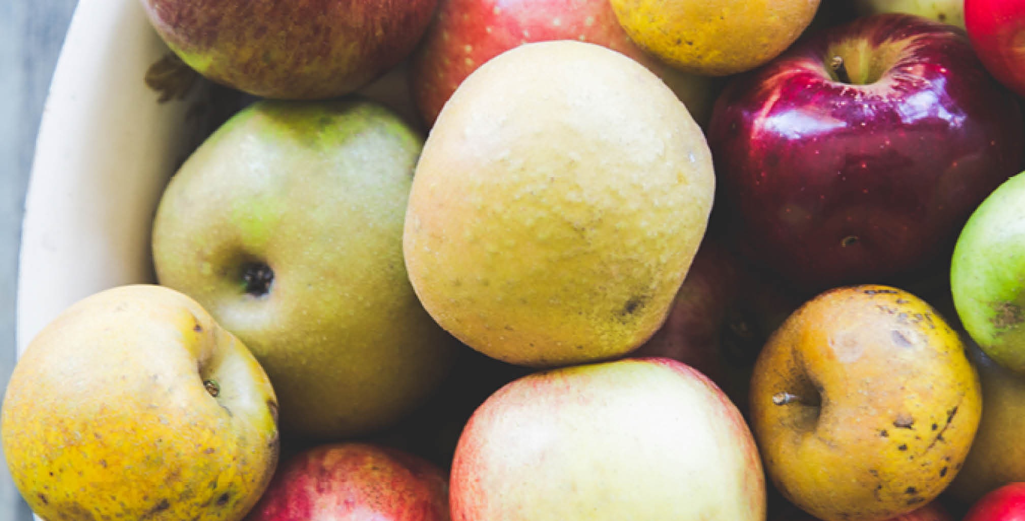 Virginia Apple Tree Explore Virginia's Orchards and Cideries This Fall - vafoodie.com