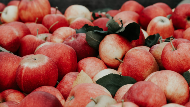 Apples in Virginia: A Juicy History