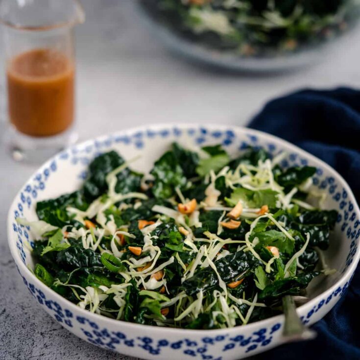 Fresh kale and shredded cheese salad in a decorative blue and white bowl, served with a side of dres.